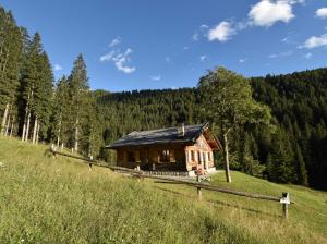a small wooden cabin on a hill in a field at Chalet Brenta Dolomites in Madonna di Campiglio