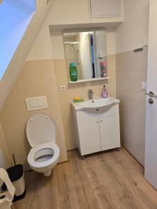 a bathroom with a toilet and a sink at Wanderlust in Bisingen +15 photos