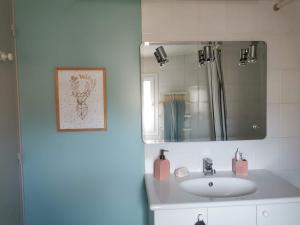 a bathroom with a sink and a mirror at La petite FloPée in Le Mont-Saint-Adrien