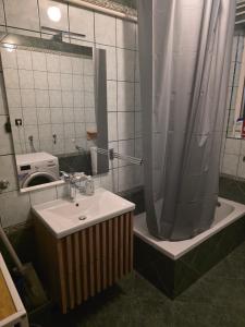 a bathroom with a sink and a shower and a toilet at Apartman Max in Sveti Ivan Zelina +15 photos