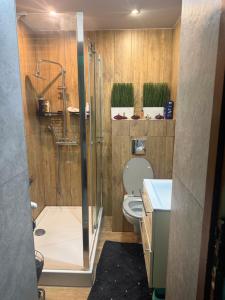 a bathroom with a shower and a toilet at Krakowska in Tarnów