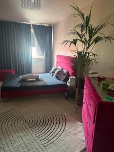 a bedroom with a pink bed and a potted plant at Krakowska in Tarnów