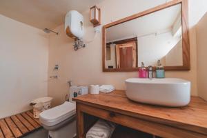 a bathroom with a sink and a toilet and a mirror at Shan at Uley in Leh +19 photos