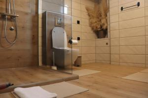 a bathroom with a shower with a toilet and a shower at Palas rooms in Smederevska Palanka +25 photos