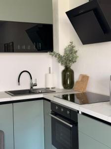 a kitchen with a sink and a stove top oven at Apartman Andrea in Posušje +3 photos