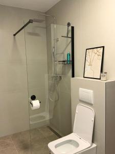 a bathroom with a toilet and a glass shower at Apartman Andrea in Posušje