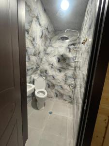 a bathroom with a toilet and a stone wall at Chalet Adjara in Okʼropilauri +18 photos