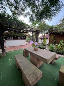a stone bench sitting on a green lawn with a tree at Cabaña Los Colibries in Barichara