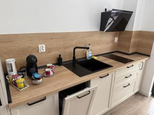 a kitchen with a sink and a counter top at Aria & Boris Apart Kogalniceanu in Oradea
