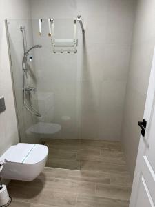 a bathroom with a toilet and a glass shower at Aria & Boris Apart Kogalniceanu in Oradea +17 photos
