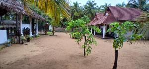 two trees in the sand in front of a house at Kite Brothers Resort in Kalpitiya