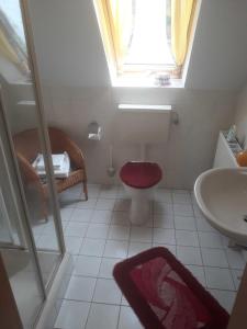 a bathroom with a toilet and a sink and a window at Ferienwohnung Ewen 55038 in Filsum