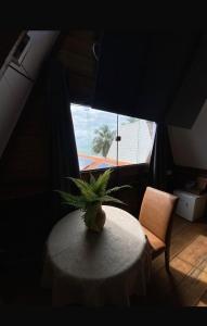 a plant sitting on a table in front of a window at Pousada Beach House Coqueirinho in Jacumã