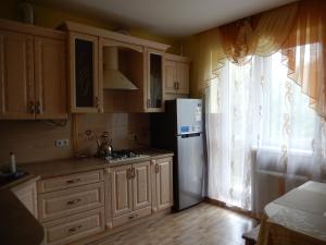Kuchyň nebo kuchyňský kout v ubytování Private Apartment