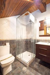a bathroom with a shower and a toilet and a sink at Fuente Buelna By Silastur in Buelna +41 photos