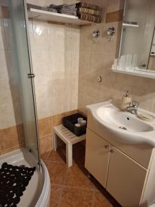 a bathroom with a toilet and a sink and a shower at Holiday Home Izabela in Kršan +29 photos
