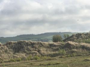 a field of grass with a kite flying in the sky at 51 Denbigh 8 berth static caravan in Prestatyn