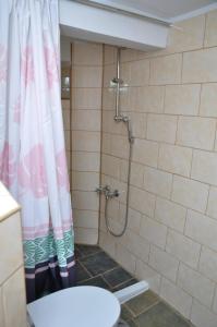 a bathroom with a shower with a shower curtain at Kaszuby Stężyca holiday cottage in Stężyca