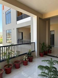 a group of potted plants sitting on a balcony at Hotel Pushkar Pulse in Pushkar