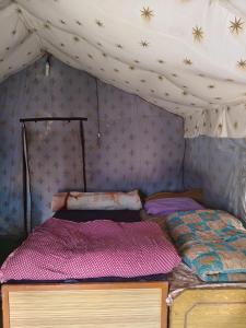 a bed in a room with a canopy at HIMALAYAN ESCAPE CAMP chopta in Chopta