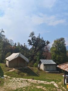 two tents in a field with trees in the background at HIMALAYAN ESCAPE CAMP chopta in Chopta
