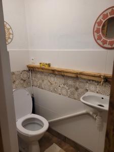 a small bathroom with a toilet and a sink at Na końcu dróżki in Radoniów