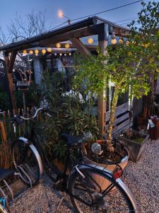 a couple of bikes parked next to a tree at Grain de folie in Beaune