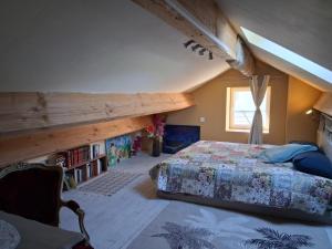 a bedroom with a bed and a book shelf at Les volets bleus in Prémian +15 photos