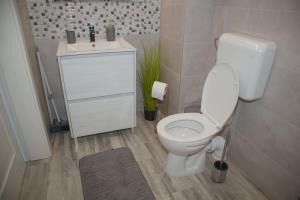 a bathroom with a white toilet and a sink at 4 Fa Apartmanok in Miercurea-Ciuc +24 photos