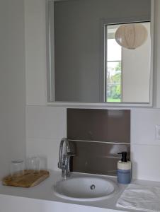 a bathroom sink with a mirror and a sink at Chambres au vert - Proche aéroport et Nantes in Saint-Aignan-Grand-Lieu
