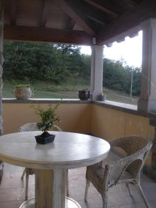 a table and chairs with a potted plant on a porch at Podere Caselina b&b in Camugnano