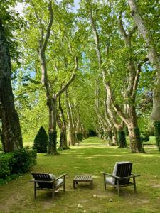 two benches sitting in a park with trees at La Suite de la Bastide in Val-de-Dagne +16 photos