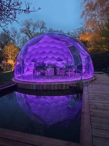 a dome house is lit up with purple lights at Dôme Renard by Out & Lodge in Couvin