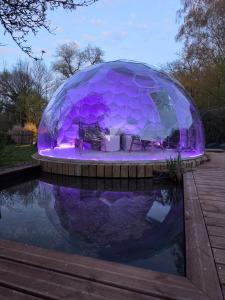a glass igloo with purple lights next to a pond at Dôme Renard by Out & Lodge in Couvin