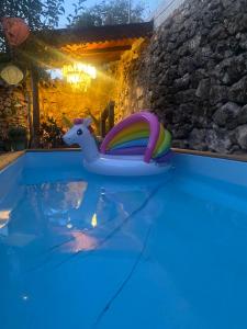 a unicorn float in a swimming pool at night at Sigals Art B and More in Alcalá la Real