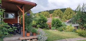 a porch of a house with a bunch of plants at Fewo2-Fliegenpilz in Bad Suderode