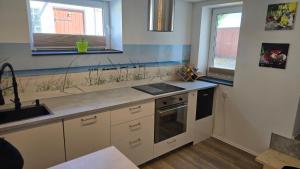 a kitchen with a sink and a stove at Relax House in Dommitzsch