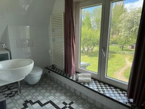 a bathroom with a sink and a toilet and a window at B&B Pastorie Jelsum in Jelsum