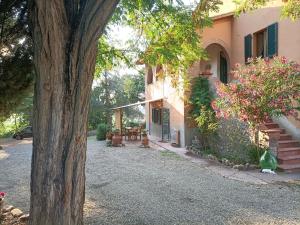 a house with a tree in front of it at Casa Lago di Brulli in Casole dʼElsa