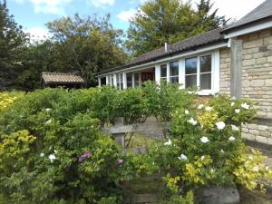 a garden in front of a house with flowers at Elderflower Cottage in Stamford