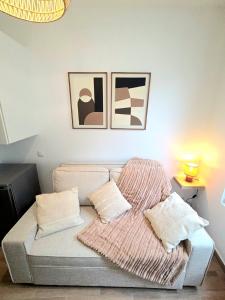 a living room with a couch with two pillows at Le Cocon Signature in Château-Thierry