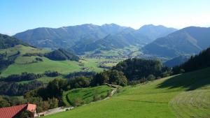 Fotografie z fotogalerie ubytování Lehnerhof v destinaci Grossraming