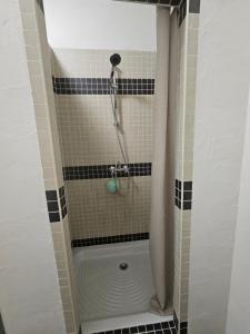 a shower in a bathroom with black and white tiles at Le Chapitre Français 3 in Rochechouart
