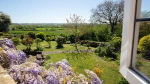 a view from a window of a garden with purple flowers at Priors Mead Cottage in Claydon