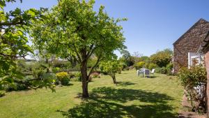 a tree in the yard of a house at Priors Mead Cottage in Claydon