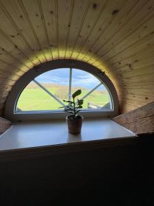 a potted plant sitting in a window in a room at Tant Märtas rum & skafferi in Köinge
