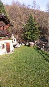 a yard with a tree and a house at Magnifique chalet familial in Evolène