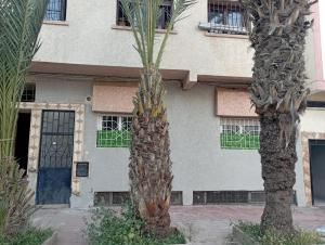 two palm trees in front of a building at your cute house in Salé