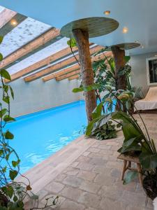 a swimming pool in the middle of a house with plants at Au Bois Dormant B&B in Tillé