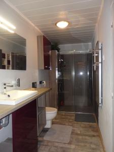 a bathroom with a shower and a sink and a toilet at La Maison De Béatrice in Murat